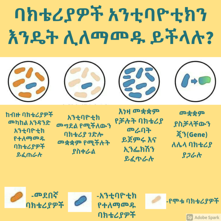 አግባብ ያለው የፀረ-ተህዋሲያን መድሃኒቶች አጠቃቀም (Proper Antibiotic Use) - የጤና ወግ